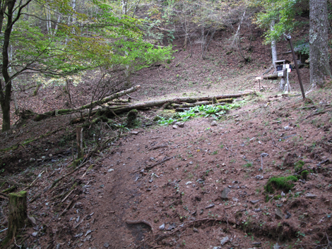 20171012hike (180)